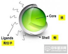 有機(jī)EL電視VS液晶電視 誰更出色