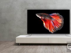 OLED+杜比技術 長虹發(fā)布CHiQ電視新品