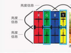 夏普：欲做電視行業(yè)的一股“清流”