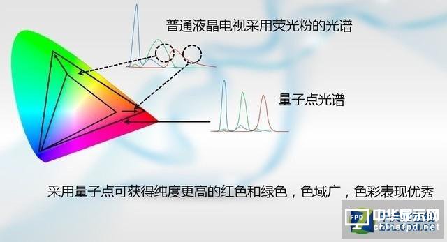 革新與顛覆 OLED/量子點顯示孰能稱王?