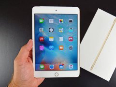 不用OLED誰還買？iPad mini將全面淘汰