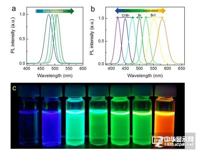 競爭還是合作 OLED和量子點該如何相處?