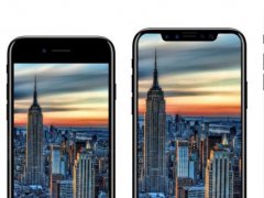 iPhone 8屏占比業(yè)內(nèi)第一 但指紋識(shí)別功能被砍