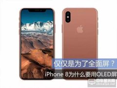 全面屏風(fēng)靡的時(shí)代  蘋果iPhone 8一定要采用OLED屏幕的理由