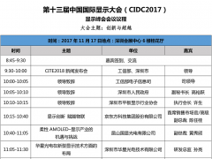 第十三屆中國國際顯示大會議程火熱出爐