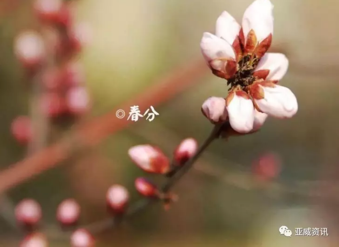 時(shí)光不負(fù)趕路人|盤點(diǎn)近來(lái)面板領(lǐng)域大動(dòng)作